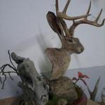 Jackalope Pedestal